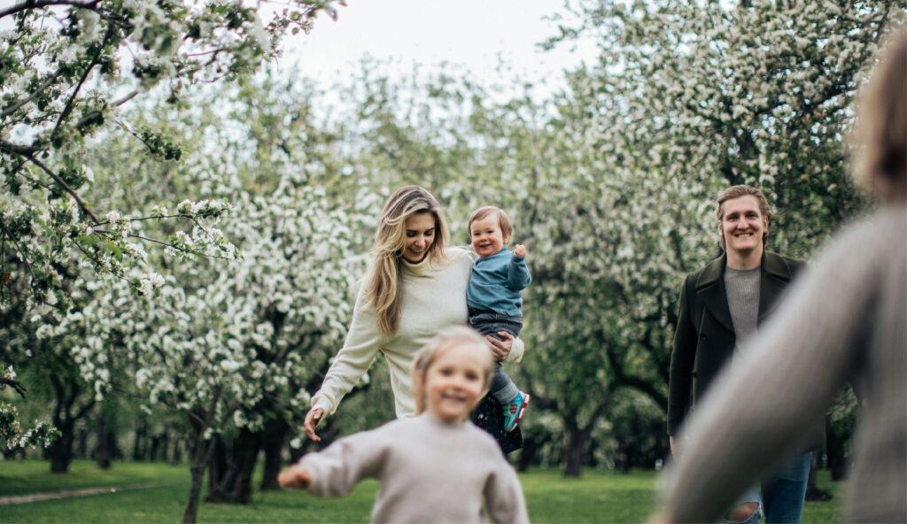 Collaborative Divorce