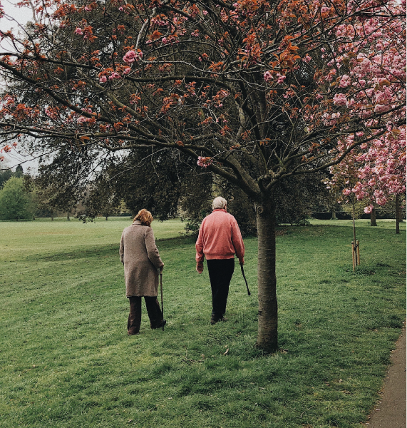 Graphical representation for a Novato probate attorney, symbolizing estate law and trust administration services.