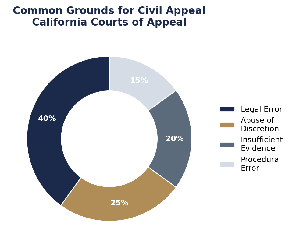 Grounds for a Civil Appeal